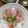 2児ママみきてぃ's cooksnap of when they made おいしい！ネギトロ丼.