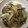 かおり♡♡♡'s cooksnap of when they made 【数種類の】きのこのバタポン炒め.