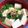 MANA☆☆'s cooksnap of when they made すぐできる！ほうれん草と豆腐のお吸い物.