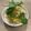 わえるる's cooksnap of when they made おもてなしに★イカと野菜のマリネ.