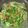 クックKY866E☆'s cooksnap of when they made レンジ 丼茶碗蒸し.