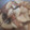 かたのさくら's cooksnap of when they made 大根とスルメの煮物！.