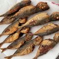 わたるんママ's cooksnap of when they made 私流・小あじ(豆あじ)の下処理・さばき方.