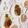 クックL39A2Q☆'s cooksnap of when they made 生ホタテとかぶの梅風味なカルパッチョ！.