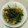 Reo14☆'s cooksnap of when they made 豚こまとたまねぎのさっぱり炒め.