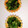 ❋たんぽぽ❋'s cooksnap of when they made お弁当用☆冷凍小松菜の簡単お浸し.