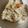 フランクフルトJr's cooksnap of when they made ツナとめんつゆで簡単炊き込みご飯.