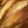 MULA's cooksnap of when they made トマトとモッツァレラチーズの春巻き.