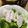 ★ゴンぎつね★'s cooksnap of when they made 鶏ハム＆スープ(無水鍋QC使用).