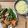 nok♡'s cooksnap of when they made 簡単ヘルシー♫お豆腐グラタン.