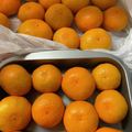 島子☆'s cooksnap of when they made 置き方で簡単！みかん長持ちのコツ.