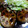 クック00Q0QZ☆'s cooksnap of when they made 蓮根のはさみ焼き.