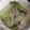 クック2H9MD0☆'s cooksnap of when they made 超簡単★塩鍋.