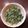 クックPDWR8N☆'s cooksnap of when they made 大根の葉とじゃこのふりかけ.