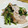 チコリママ's cooksnap of when they made ほうれん草と豚肉のバター醤油炒め。.