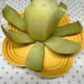 まこさんど's cooksnap of when they made キウイを一度に繋げて剥く方法.