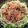 37⭐'s cooksnap of when they made キャベツたっぷり　豚肉の味噌生姜焼き.