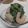 fu♪♪'s cooksnap of when they made エビとほうれん草の白だし和え.