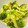 azbjbn's cooksnap of when they made ほうれん草の胡麻和え.