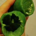 maaa4ron's cooksnap of when they made ピーマンの種はフォークでプチっと取る.
