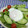ととろ＆めい's cooksnap of when they made 放置の裏技♫お湯だけでポーチドエッグ.