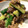 うっかりセサミ's cooksnap of when they made 牛肉ときゅうりの韓国風炒め.
