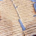 TeaChan214's cooksnap of when they made 米粉のスティックごまクッキー.
