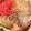 クックFJ5BNF☆'s cooksnap of when they made 豚丼.