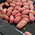 かんなずき's cooksnap of when they made 生落花生のローストの仕方（オーブン）.