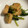 かんじきんぐ's cooksnap of when they made 小松菜と厚揚げの煮浸し.