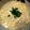 つよまり's cooksnap of when they made ほっこりかき玉うどん.