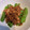 トラとつる's cooksnap of when they made ししとうのシーチキン炒め.