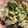 さのゆう's cooksnap of when they made 鯖缶で☆卵とじ.