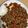 マイノート's cooksnap of when they made ガパオライス.