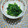 ボブナナ's cooksnap of when they made 簡単！本格的な基本のごま和え.