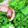 ともかずみみ's cooksnap of when they made からし菜とベーコンのいためもの.