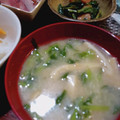 ひっこ's cooksnap of when they made あぼし（青菜）の粕汁.