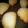 ぴょぬさ's cooksnap of when they made 米粉クリームパン.