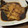 しばづけさん's cooksnap of when they made ＊カレイの簡単煮つけ＊.