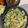 きゃーさい's cooksnap of when they made エビ入りニラチヂミ♡タレが絶品.