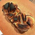 mame_chi's cooksnap of when they made あん食パン（HB生地150gパウンド型）.