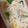 さんちゃん（╹◡╹）'s cooksnap of when they made コーンスープの素で豆腐グラタン.