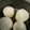 ゆりっﾍﾟ's cooksnap of when they made レンジで！大根の下処理下茹で下ごしらえ.