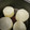 ゆりっﾍﾟ's cooksnap of when they made レンジで！大根の下処理下茹で下ごしらえ.