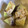 きゃろぽて's cooksnap of when they made さつま芋のきな粉和え.