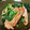 クックM96XDX☆'s cooksnap of when they made 豚薄切りとほうれん草の☆和風柚子胡椒炒め.