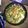コルディン・「トリ」's cooksnap of when they made 鶏もも肉とほうれん草のスパイスカレー.