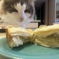 🐿️'s cooksnap of when they made 濃厚クリーム＆バター風味★究極の生食パン.