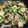 クックR1MKY2☆'s cooksnap of when they made 豚と小松菜の厚揚げ塩ダレ炒め.