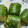ささッこ's cooksnap of when they made 簡単！めちゃうま♪旨辛きゅうり♪.
